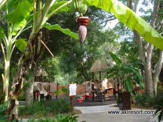 Play area by pool